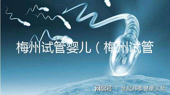 梅州試管嬰兒(梅州試管嬰兒醫(yī)院排名最好)