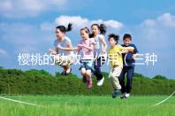 櫻桃的功效與作用(三種人不宜吃櫻桃)