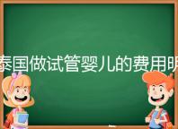 泰國做試管嬰兒的費用明細公開，一次大概花20萬左右