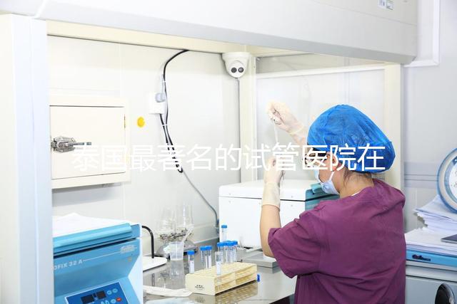 泰國最著名的試管醫(yī)院在哪里最好？推薦助孕機(jī)構(gòu)名單
