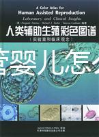 泰國(guó)試管嬰兒怎么樣（泰國(guó)試管嬰兒好嗎）