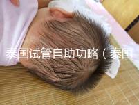 泰國試管自助功略(泰國試管自助經歷)