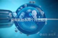 沒有胚胎凍兩個月還能活著嗎？60s會告訴你怎么樣？