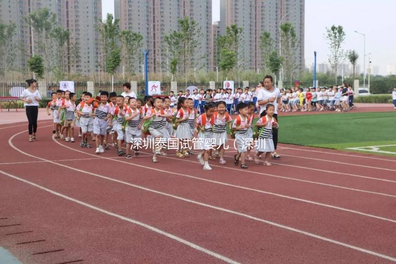 深圳泰國試管嬰兒(深圳泰國試管嬰兒技術)