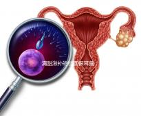 清甜滋補的桂圓銀耳羹，孕婦食用不再擔心上火