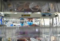 溫州做一代試管嬰兒的費用明細來了!2025年最新報價3