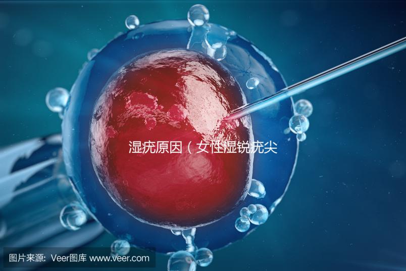 濕疣原因(女性濕銳疣尖初期圖片)