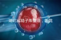 湖北省精子庫整理,醫(yī)院地址、排名、供精費(fèi)用這都有