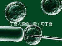 子宮內膜癌術后(切子宮手術需要多少錢)