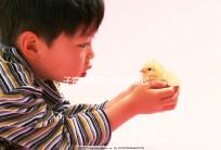 子宮康停藥時間別錯過，60秒了解其多久見效