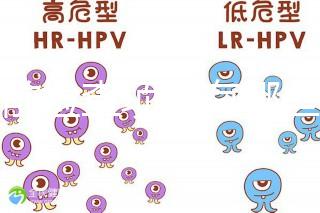 孕前檢查項目有哪些？