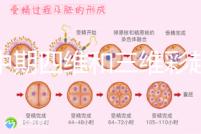 孕中期四維和三維彩超檢查區別真不小，看完便知誰更好