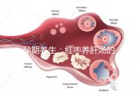 孕期養(yǎng)生:紅棗養(yǎng)肝湯的做法步驟圖解介紹
