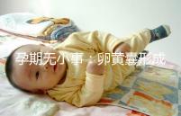 孕期無小事：卵黃囊形成到胎芽出現(xiàn)時間早了解早放心