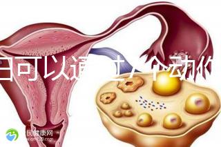孕婦可以通過(guò)7個(gè)動(dòng)作緩解坐骨神經(jīng)痛,并按摩一篇文章來(lái)解釋
