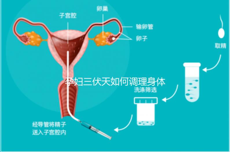 孕婦三伏天如何調(diào)理身體看這，專家：不建議曬太陽補(bǔ)鈣
