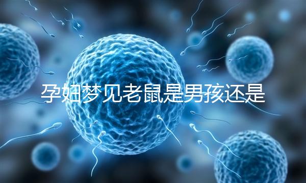 孕婦夢(mèng)見(jiàn)老鼠是男孩還是女孩不再糾結(jié),詳細(xì)預(yù)兆解讀看這