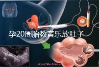 孕20周胎教音樂放肚子上怎么辦要早知，細數常見危害