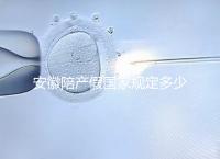 安徽陪產(chǎn)假國(guó)家規(guī)定多少天更新，2024淮南何時(shí)開始執(zhí)行戳