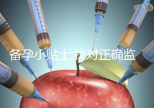 備孕小貼士:找對正確監(jiān)測排卵的時間才能更好受孕