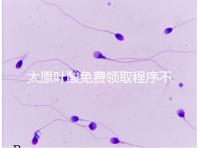 太原葉酸免費領取程序不難，@準媽媽們：小店區(qū)這里可領