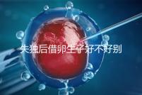 失獨(dú)后借卵生子好不好別還不造，供卵or領(lǐng)養(yǎng)過來(lái)人感受更深
