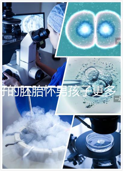 好的胚胎懷男孩子更多，驚呀！什么時候質(zhì)量決定性別了