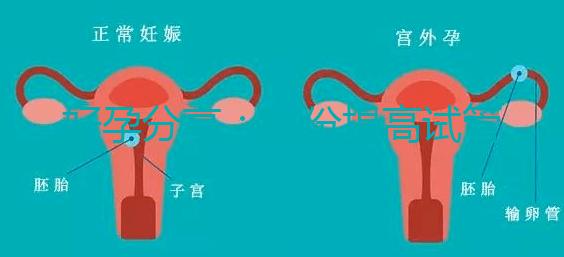 好孕分享:這份提高試管移植著床率的偏方快收藏!全是干貨