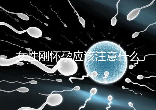 女性剛懷孕應(yīng)該注意什么？