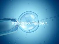 女性懷孕多久？胎動多久？