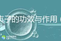 女貞子的功效與作用（女貞子是熱性還是寒性）