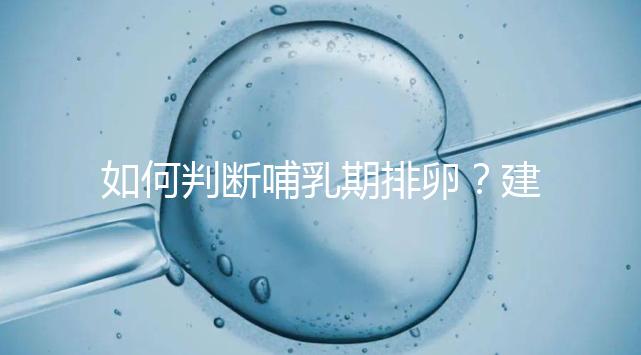 如何判斷哺乳期排卵？建議試試這四招，快速掌握排卵期