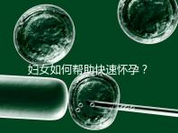 婦女如何幫助快速懷孕？
