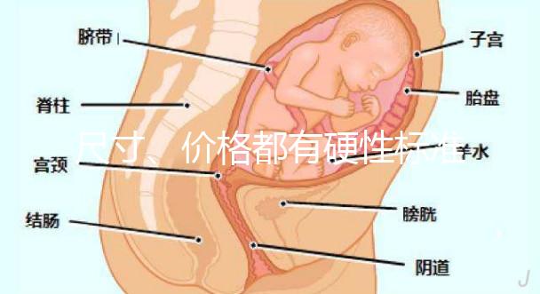 尺寸、價格都有硬性標準，選擇雙胞胎嬰兒床決不可大意！
