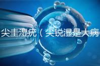 尖圭濕疣（尖銳濕是大病還是小?。? /></div><time dir=