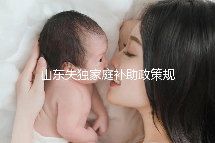山東失獨家庭補助政策規(guī)定2024,濟(jì)南超過60歲每月領(lǐng)一千