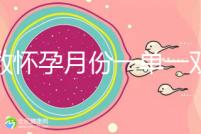 歲數懷孕月份一單一雙懷兒子幾率小？那是你沒按照農歷來
