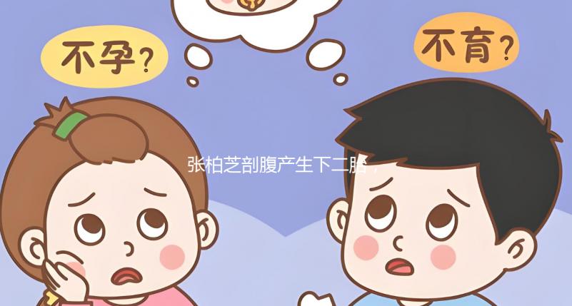 張柏芝剖腹產(chǎn)生下二胎,跟謝霆鋒一個(gè)模子刻出來(lái)的