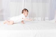 巴戟天的功效與作用（巴戟天配什么壯陽最猛）