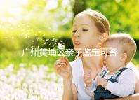 廣州黃埔區親子鑒定可否直接上戶口，看完2024政策就明了