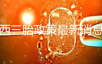 廣西三胎政策最新消息解讀，2024桂北滿足條件可申請獎勵