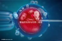 郁金的功效與作用(郁金和柴胡哪個(gè)疏肝好)