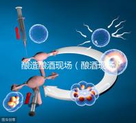 釀造釀酒現場(釀酒現場圖片)