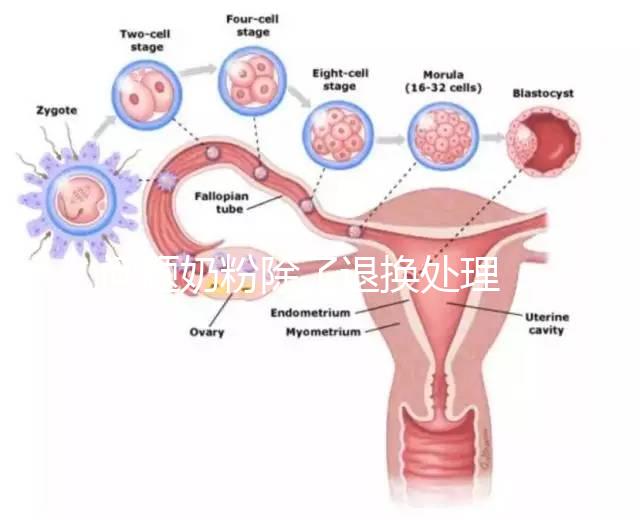 問題奶粉除了退換處理，還可要求十倍標準的賠償金