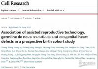 胎夢(mèng)新解:孕婦夢(mèng)見鹿預(yù)示現(xiàn)實(shí)中將要發(fā)生的事情分析