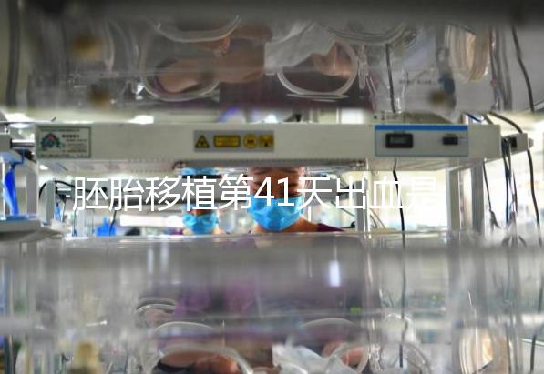 胚胎移植第41天出血是流產信號?這幾種出血沒必要擔心