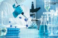 腹瀉 飲食（腹瀉一日三餐食譜）