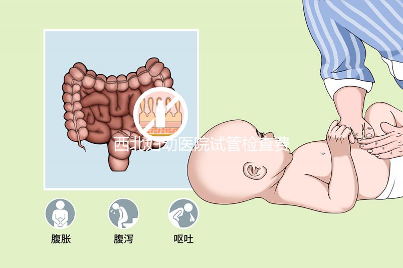 西北婦幼醫(yī)院試管檢查費用流出!做完記得來這領報告單