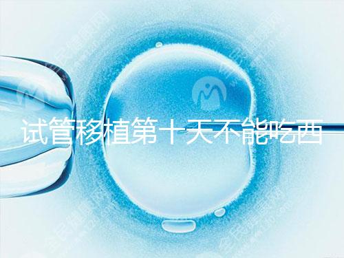 試管移植第十天不能吃西瓜！影響胚胎發(fā)育可不是玩笑話