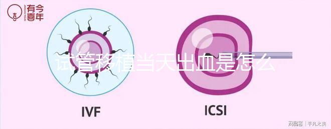 試管移植當天出血是怎么回事？收好你的“玻璃心”別太擔心